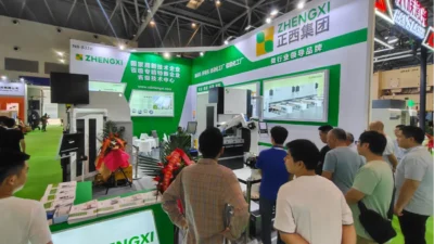 Команда ZhengXI